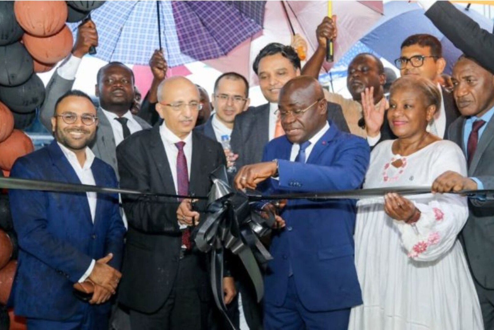 Côte d'Ivoire: Cashew sector bets on biochar to create higher added value